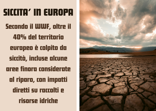 siccita in europa.png